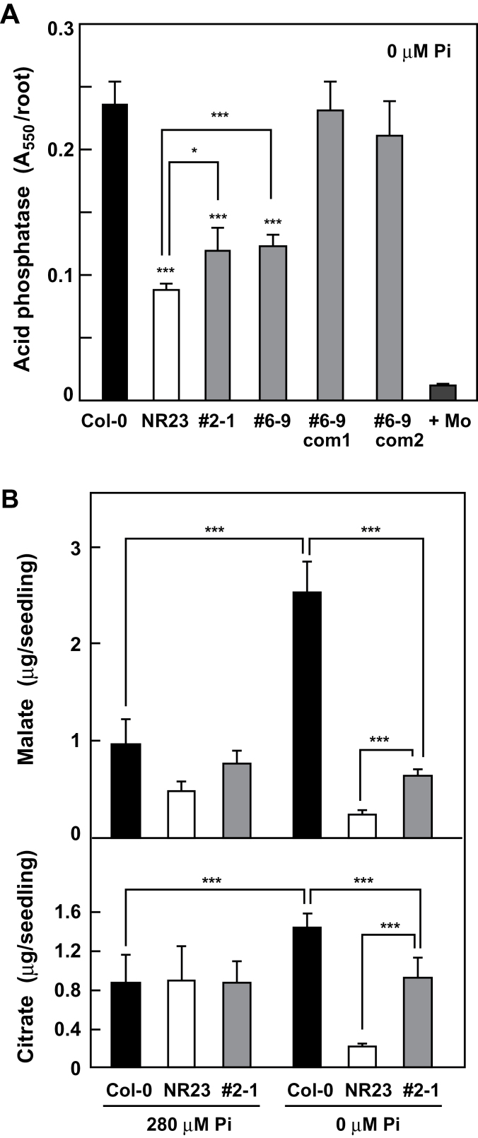 Fig. 10.