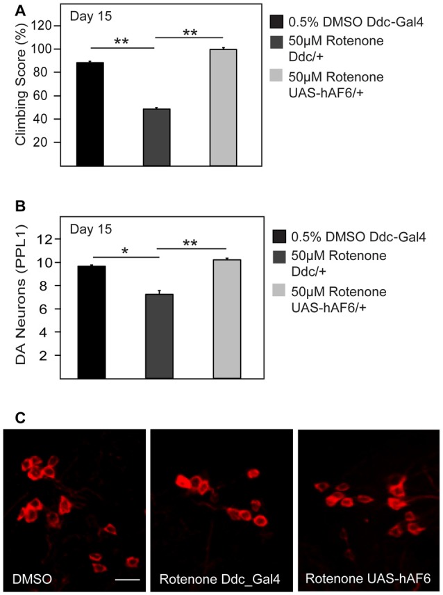 Figure 6