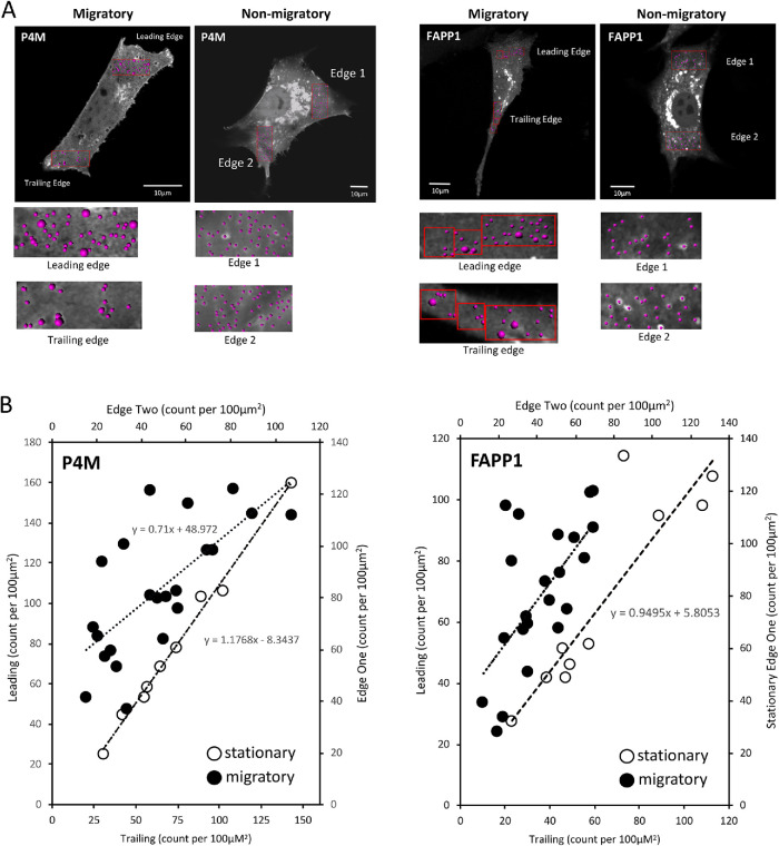 FIGURE 2: