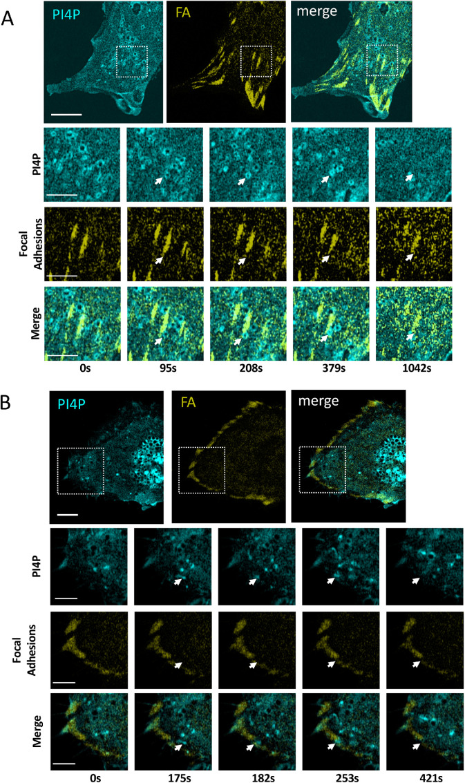 FIGURE 6: