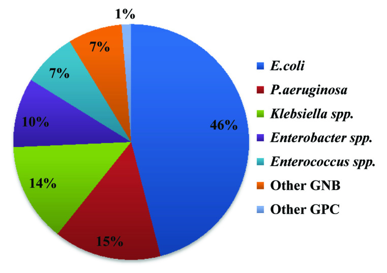 [Table/Fig-2]: