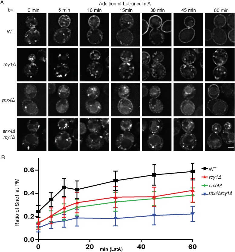 FIGURE 5: