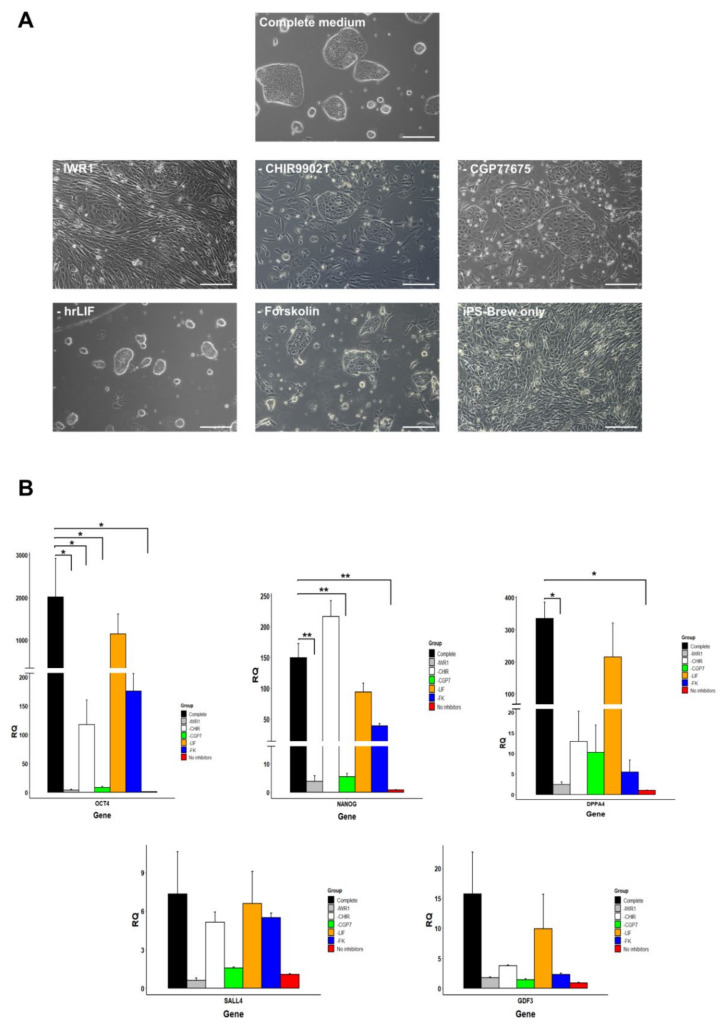 Figure 6