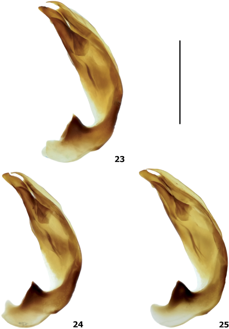 Figures 23–25.