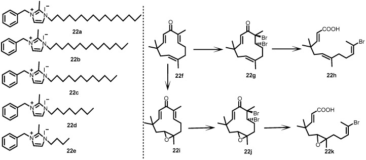 Figure 22