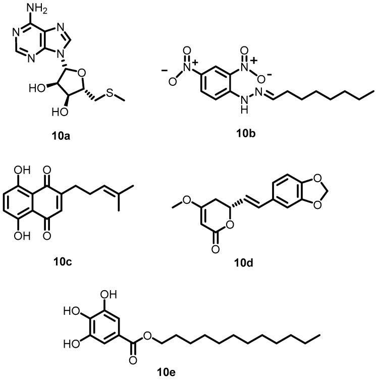 Figure 11