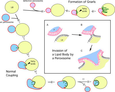 Figure 9.