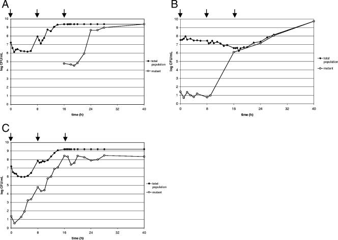 FIG. 1.