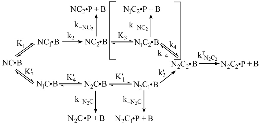 SCHEME 3