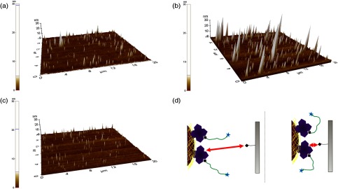 Fig. 11