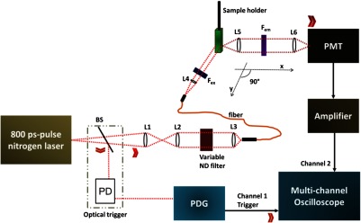 Fig. 1