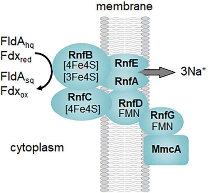 FIGURE 3