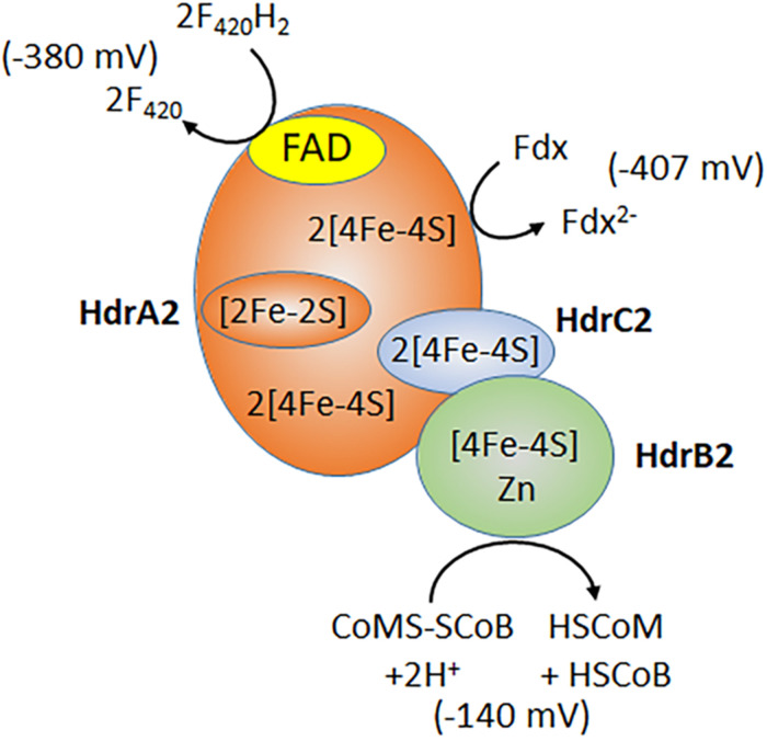 FIGURE 4