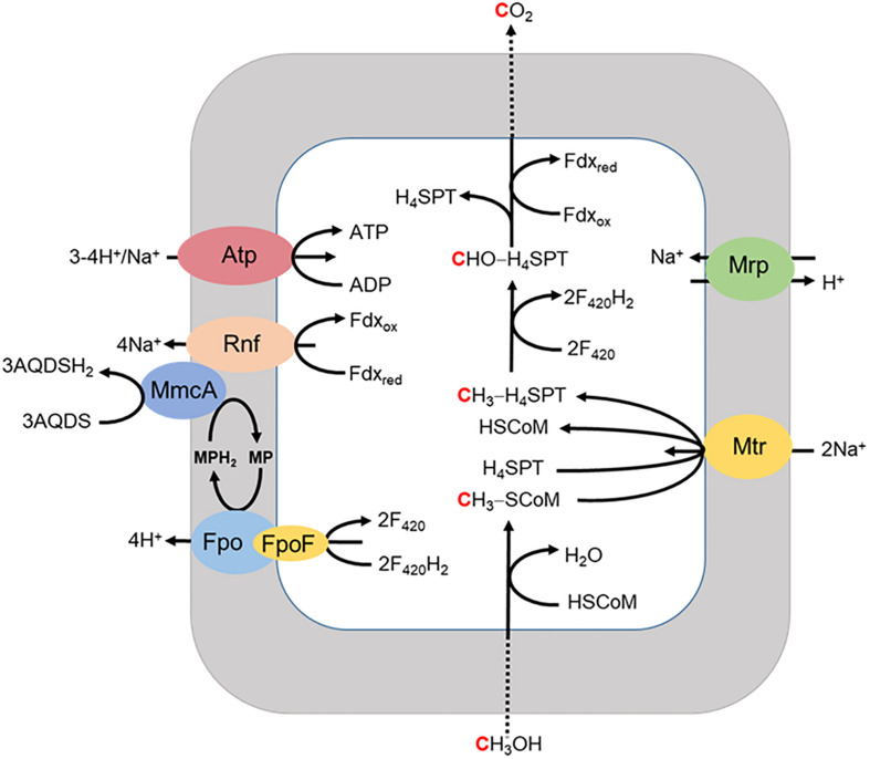 FIGURE 6