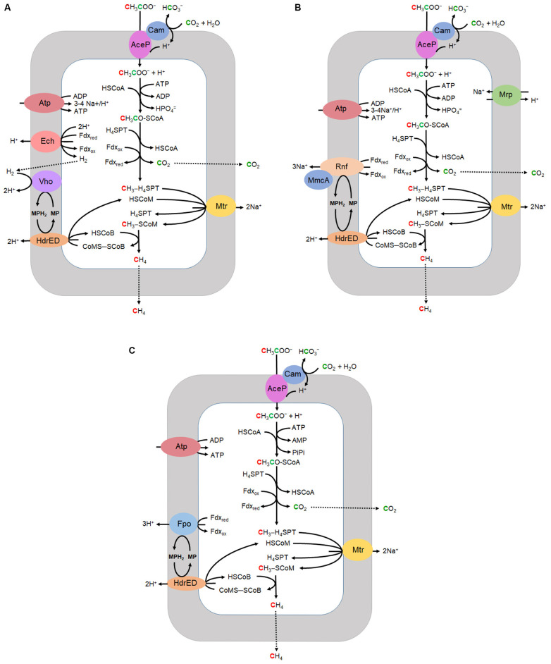 FIGURE 2