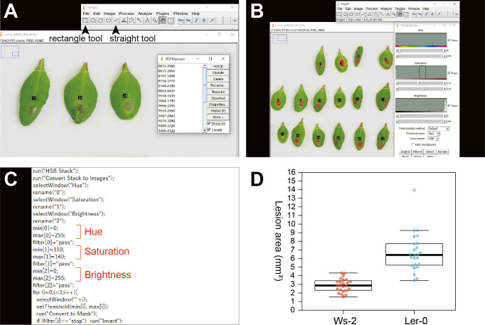 Figure 3.