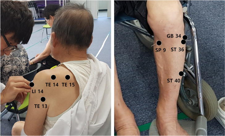 Fig 3