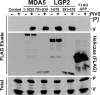 FIG. 4.