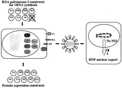 graphic file with name cdd675f3.jpg