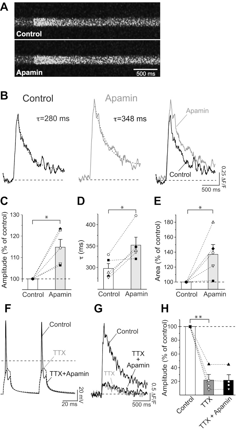 Fig. 4.