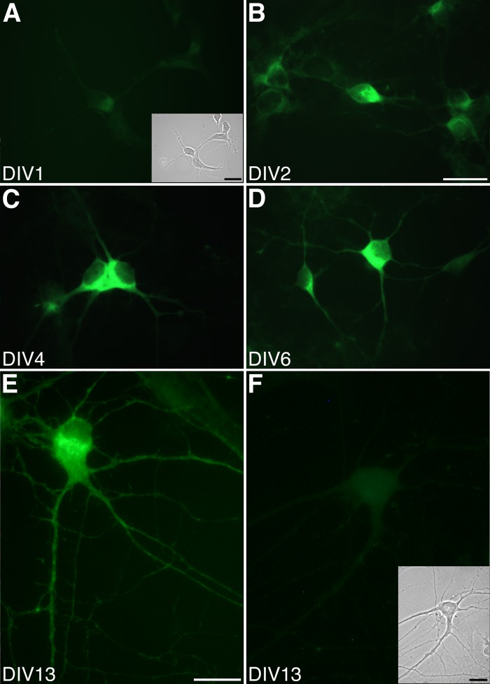 Fig. 2.