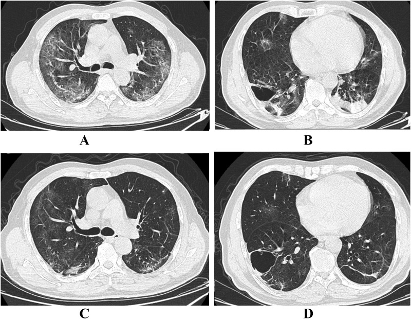 Fig. 4