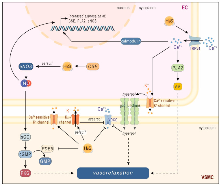 Scheme 2