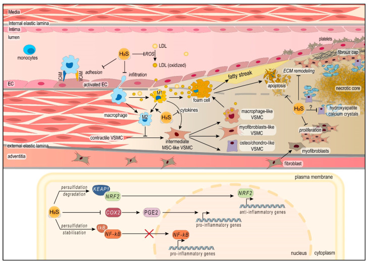 Scheme 3