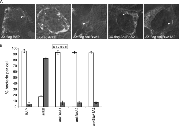 FIG. 8.