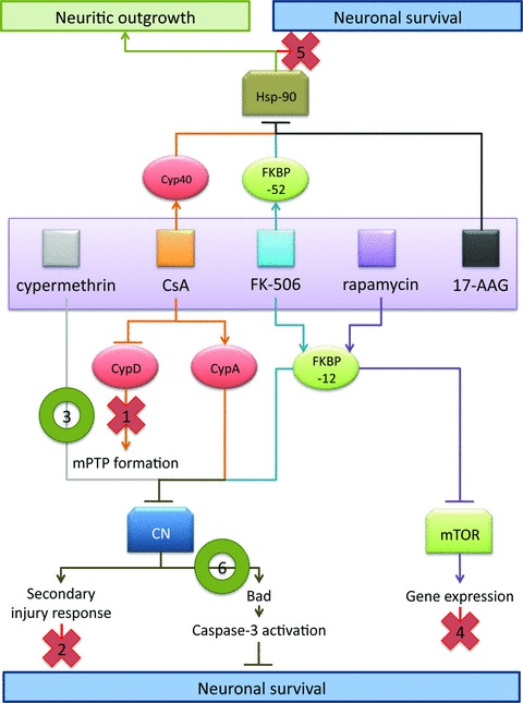 Fig 8