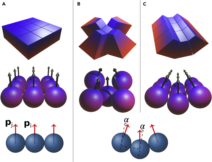 Figure 1