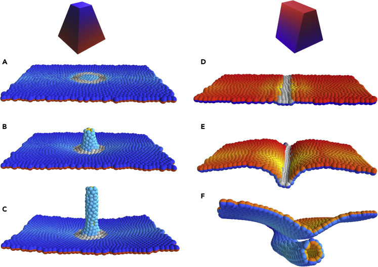 Figure 2