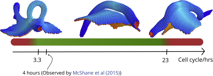 Figure 4