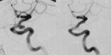 F<sc>ig</sc> 10.