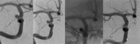 F<sc>ig</sc> 2.