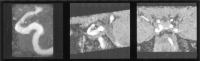F<sc>ig</sc> 11.