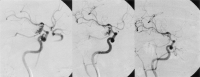 F<sc>ig</sc> 5.