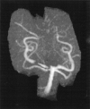 F<sc>ig</sc> 8.