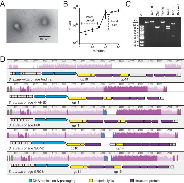 FIG 1 