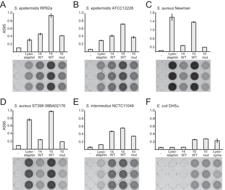 FIG 2 