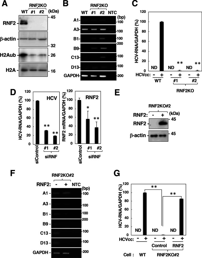 FIG 6