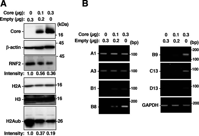 FIG 8