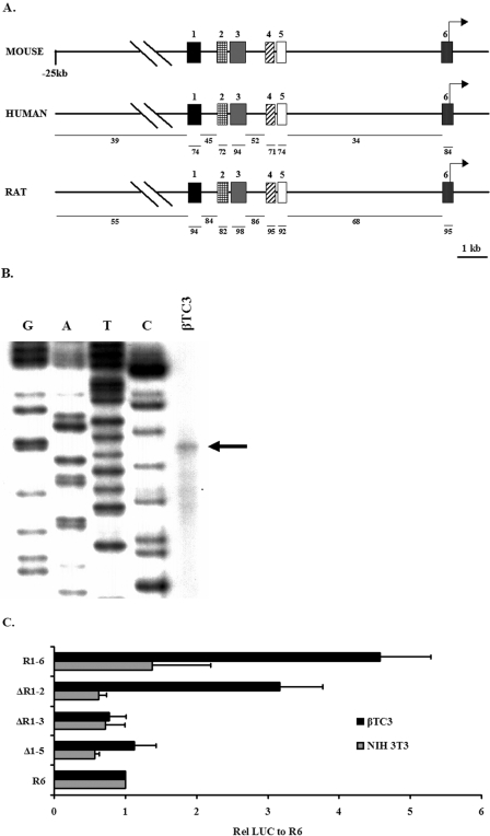 FIG. 1.