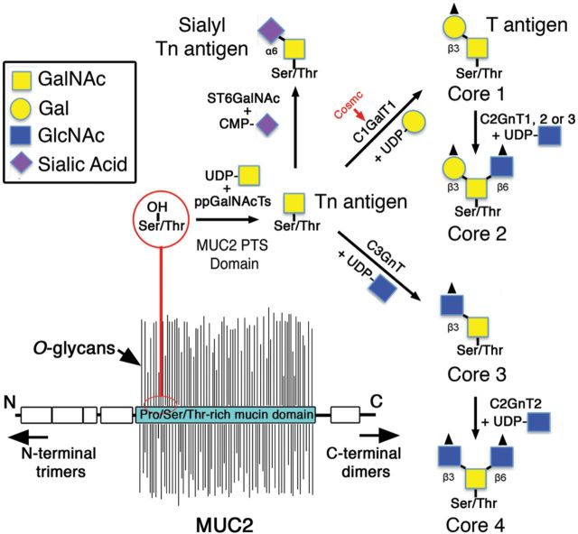 Fig. 2.