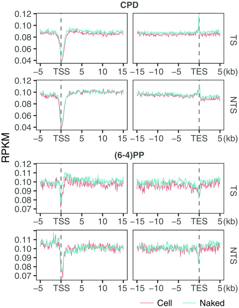 Fig. S5.