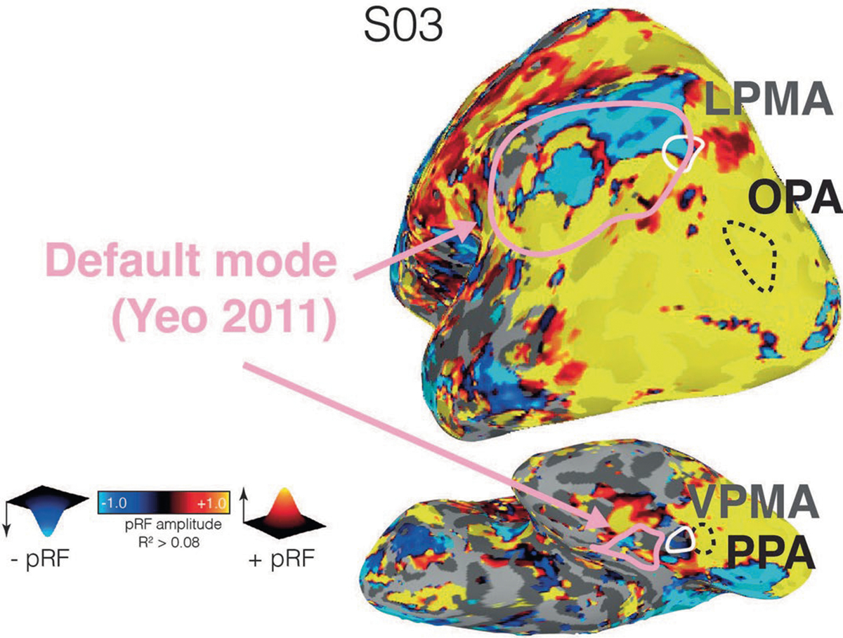 Extended Data Fig. 3 |