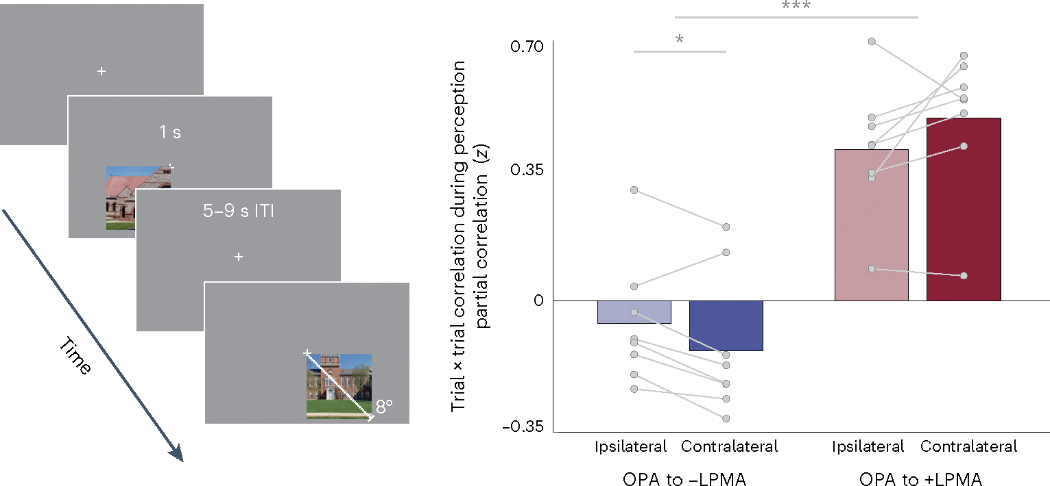 Fig. 6 |