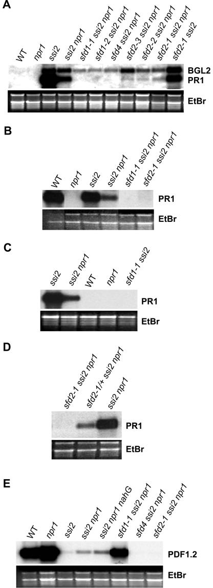 Figure 3.