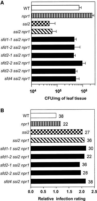 Figure 4.