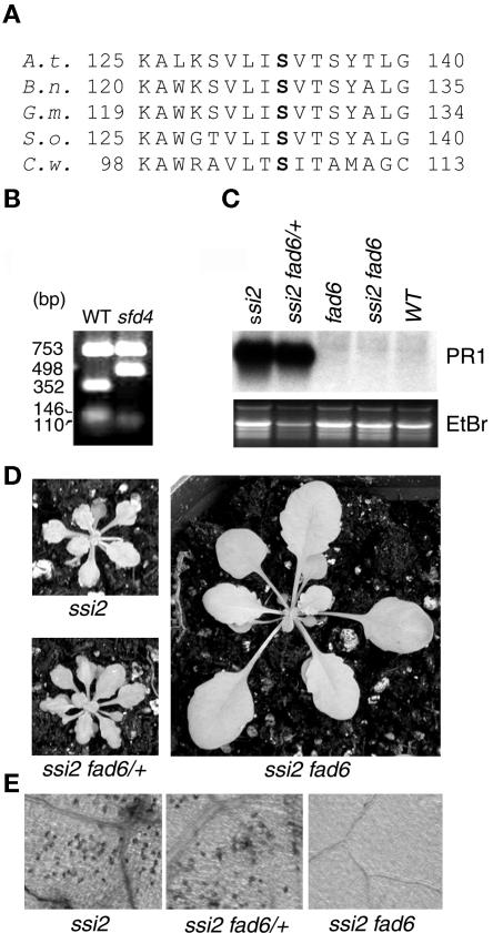 Figure 6.